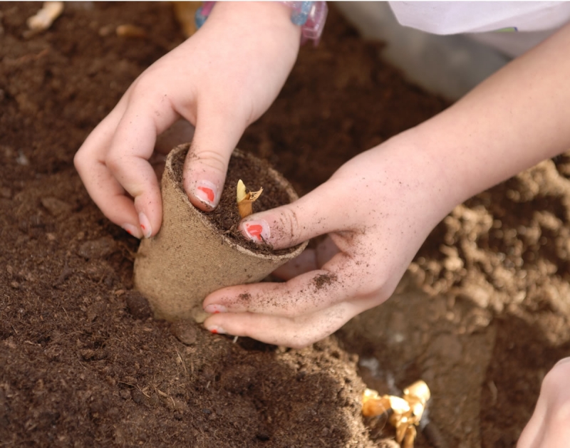 Atelier P Dagogique Jardinage La Plantation De Bulbes Et De Tubercules