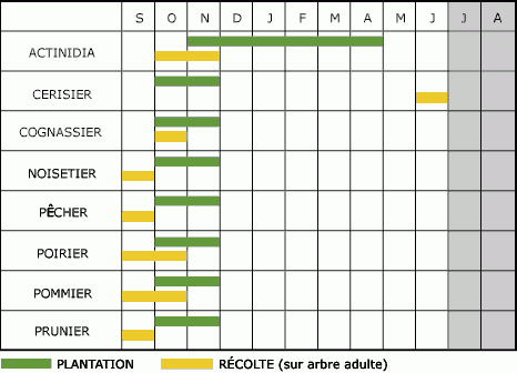 calendrier arbres fruitiers 800p