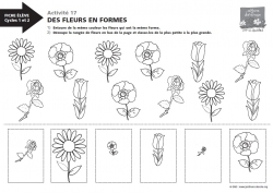 Activité Pour La Classe Des Fleurs En Formes